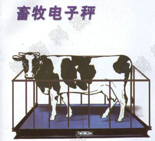 动物电子称