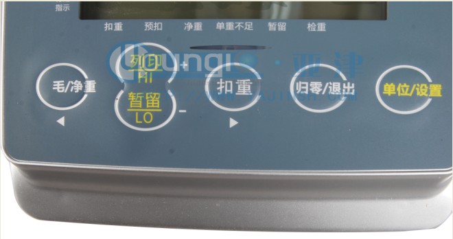 T310i计重显示器